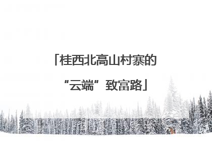 桂西北高山村寨的“云端”致富路