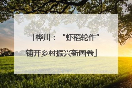 桦川：“虾稻轮作”铺开乡村振兴新画卷