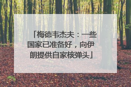梅德韦杰夫：一些国家已准备好，向伊朗提供自家核弹头