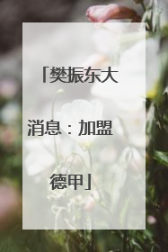 樊振东大消息：加盟德甲
