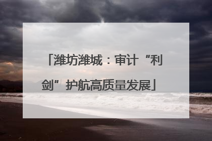 潍坊潍城：审计“利剑”护航高质量发展