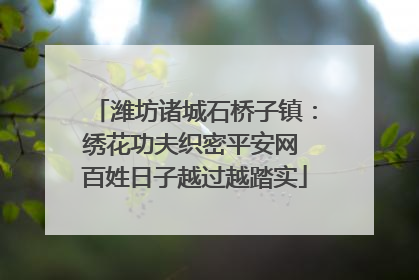 潍坊诸城石桥子镇：绣花功夫织密平安网 百姓日子越过越踏实