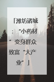 潍坊诸城：“小药材”变身群众致富“大产业”