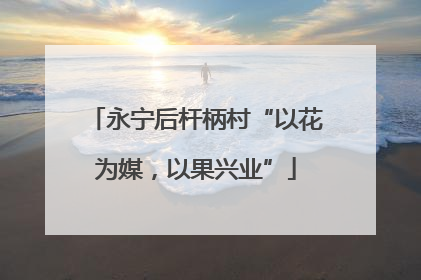 永宁后杆柄村“以花为媒，以果兴业”