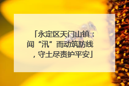 永定区天门山镇：闻“汛”而动筑防线，守土尽责护平安