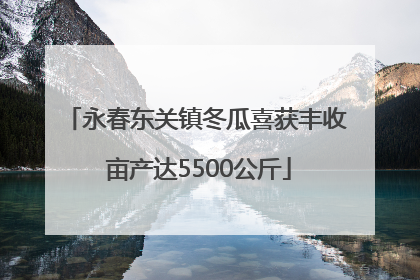 永春东关镇冬瓜喜获丰收 亩产达5500公斤