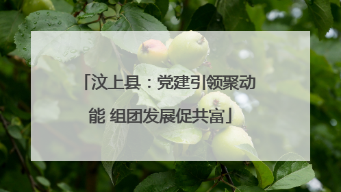 汶上县：党建引领聚动能 组团发展促共富
