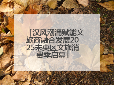 汉风潮涌赋能文旅商融合发展2025未央区文旅消费季启幕