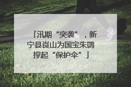汛期“突袭”，新宁县崀山为国宝朱鹮撑起“保护伞”