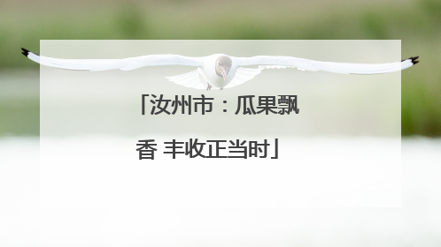 汝州市：瓜果飘香 丰收正当时