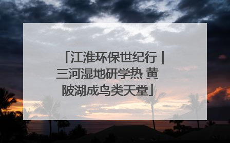 江淮环保世纪行｜三河湿地研学热 黄陂湖成鸟类天堂