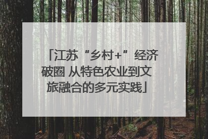 江苏“乡村+”经济破圈 从特色农业到文旅融合的多元实践