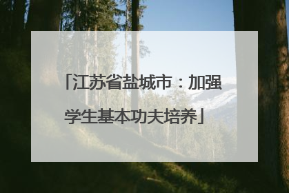 江苏省盐城市：加强学生基本功夫培养