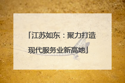 江苏如东：聚力打造现代服务业新高地