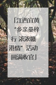 江西宜黄“乡亲桑梓行 浓浓赣港情”活动圆满收官