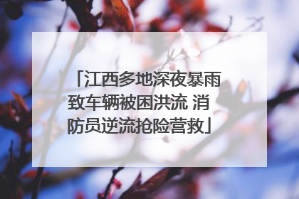 江西多地深夜暴雨致车辆被困洪流 消防员逆流抢险营救