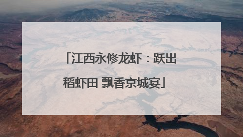 江西永修龙虾：跃出稻虾田 飘香京城宴