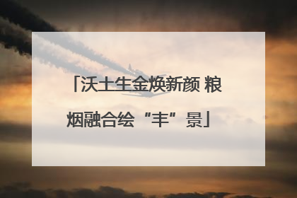 沃土生金焕新颜 粮烟融合绘“丰”景