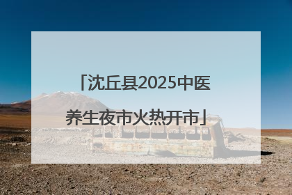 沈丘县2025中医养生夜市火热开市