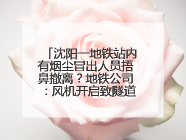 沈阳一地铁站内有烟尘冒出人员捂鼻撤离？地铁公司：风机开启致隧道灰尘飘散至站内