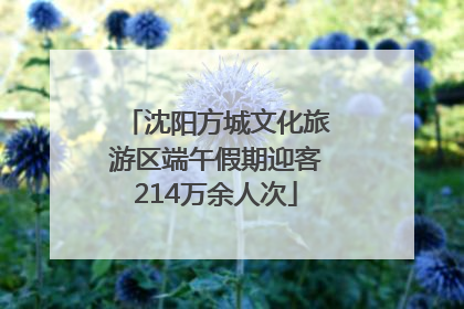 沈阳方城文化旅游区端午假期迎客214万余人次