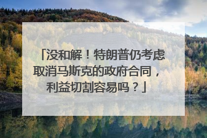 没和解！特朗普仍考虑取消马斯克的政府合同，利益切割容易吗？