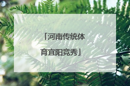 河南传统体育宜阳竞秀