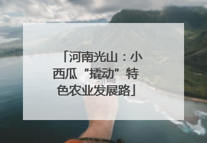河南光山：小西瓜“撬动”特色农业发展路
