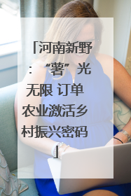 河南新野：“薯”光无限 订单农业激活乡村振兴密码