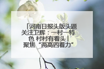 河南日报头版头题关注卫辉：一村一特色 村村有看头 ︳聚焦“两高四着力”·一“县”观察