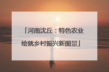 河南沈丘：特色农业绘就乡村振兴新图景