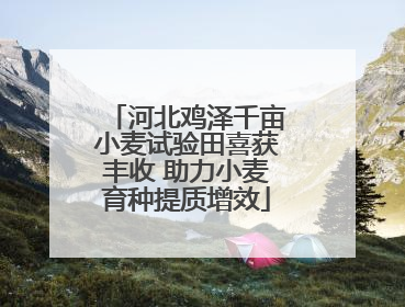 河北鸡泽千亩小麦试验田喜获丰收 助力小麦育种提质增效