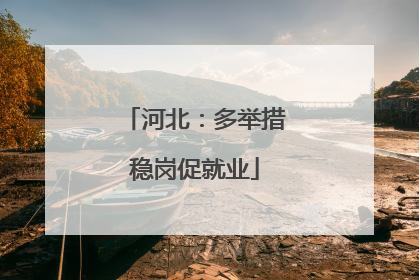 河北：多举措稳岗促就业