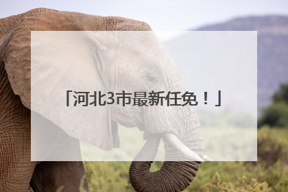 河北3市最新任免！