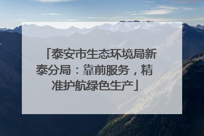 泰安市生态环境局新泰分局：靠前服务，精准护航绿色生产