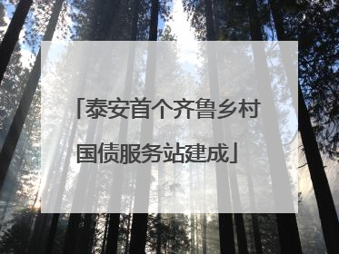 泰安首个齐鲁乡村国债服务站建成