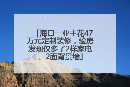 海口一业主花47万元定制装修，验房发现仅多了2样家电、2面背景墙