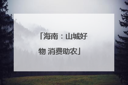 海南：山城好物 消费助农
