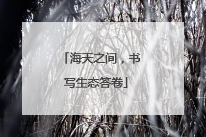 海天之间，书写生态答卷