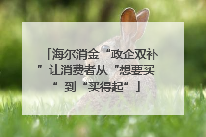 海尔消金“政企双补”让消费者从“想要买”到“买得起”