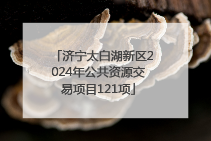 济宁太白湖新区2024年公共资源交易项目121项