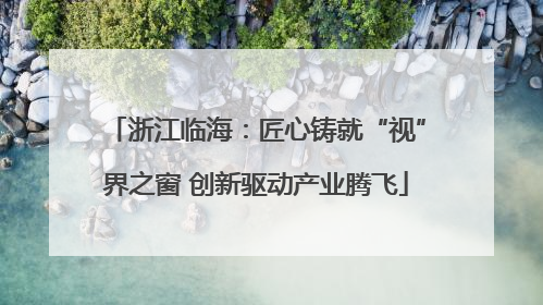 浙江临海：匠心铸就“视”界之窗 创新驱动产业腾飞