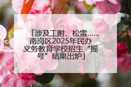 涉及工附、松雷……南岗区2025年民办义务教育学校招生“摇号”结果出炉