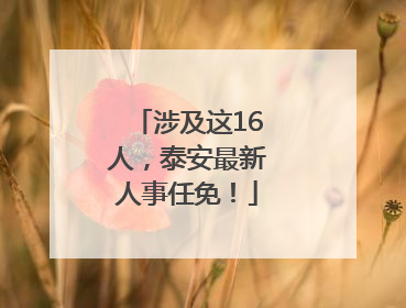 涉及这16人，泰安最新人事任免！