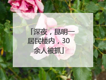 深夜，昆明一居民楼内，30余人被抓