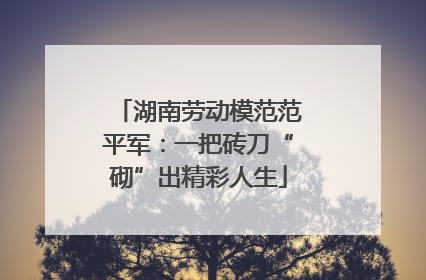 湖南劳动模范范平军：一把砖刀“砌”出精彩人生
