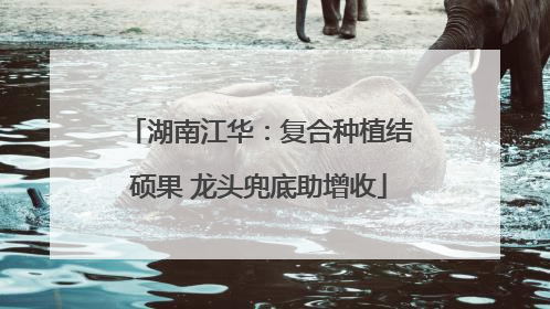 湖南江华：复合种植结硕果 龙头兜底助增收
