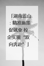 湖南蓝山：精准施策促就业 校企实现“双向奔赴”