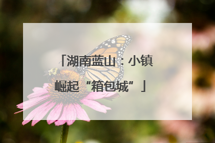 湖南蓝山：小镇崛起“箱包城”