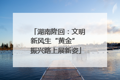 湖南隆回：文明新风生“黄金” 振兴路上展新姿